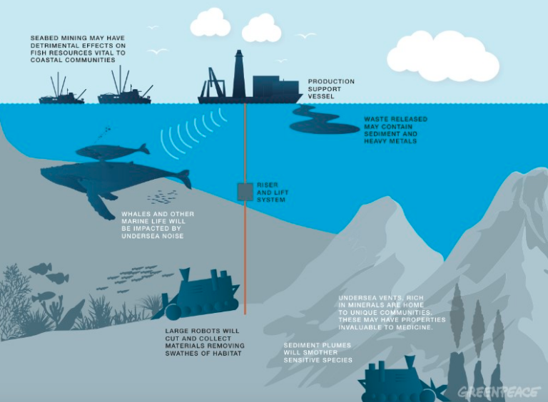 The Ecological Risks and Rewards of Deep-Sea Mining
