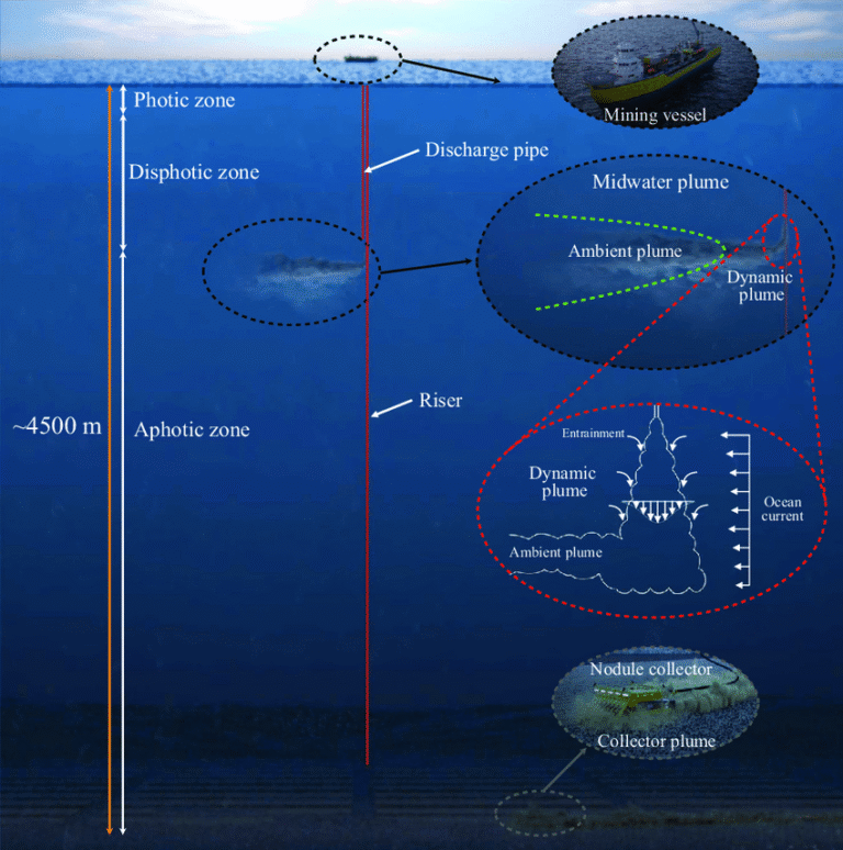 Deep-Sea Mining vs. Ocean Ecosystems: The High-Stakes Battle for the Seabed